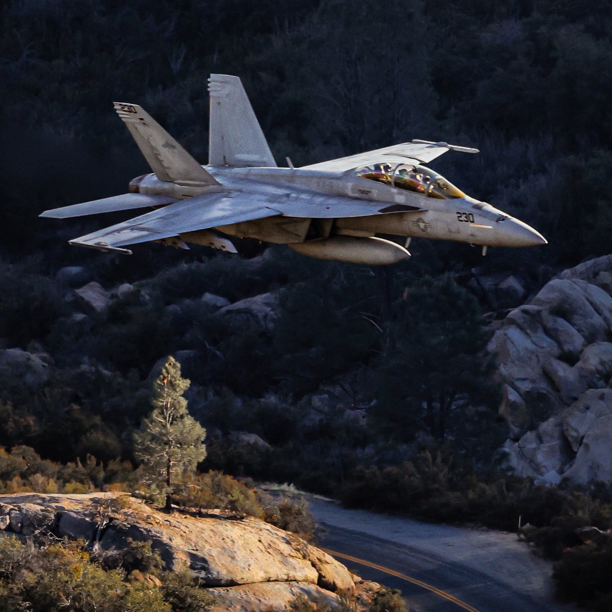 JarodMHamilton's tweet image. Vampires down low!
#sidewinderlowlevel #vx9