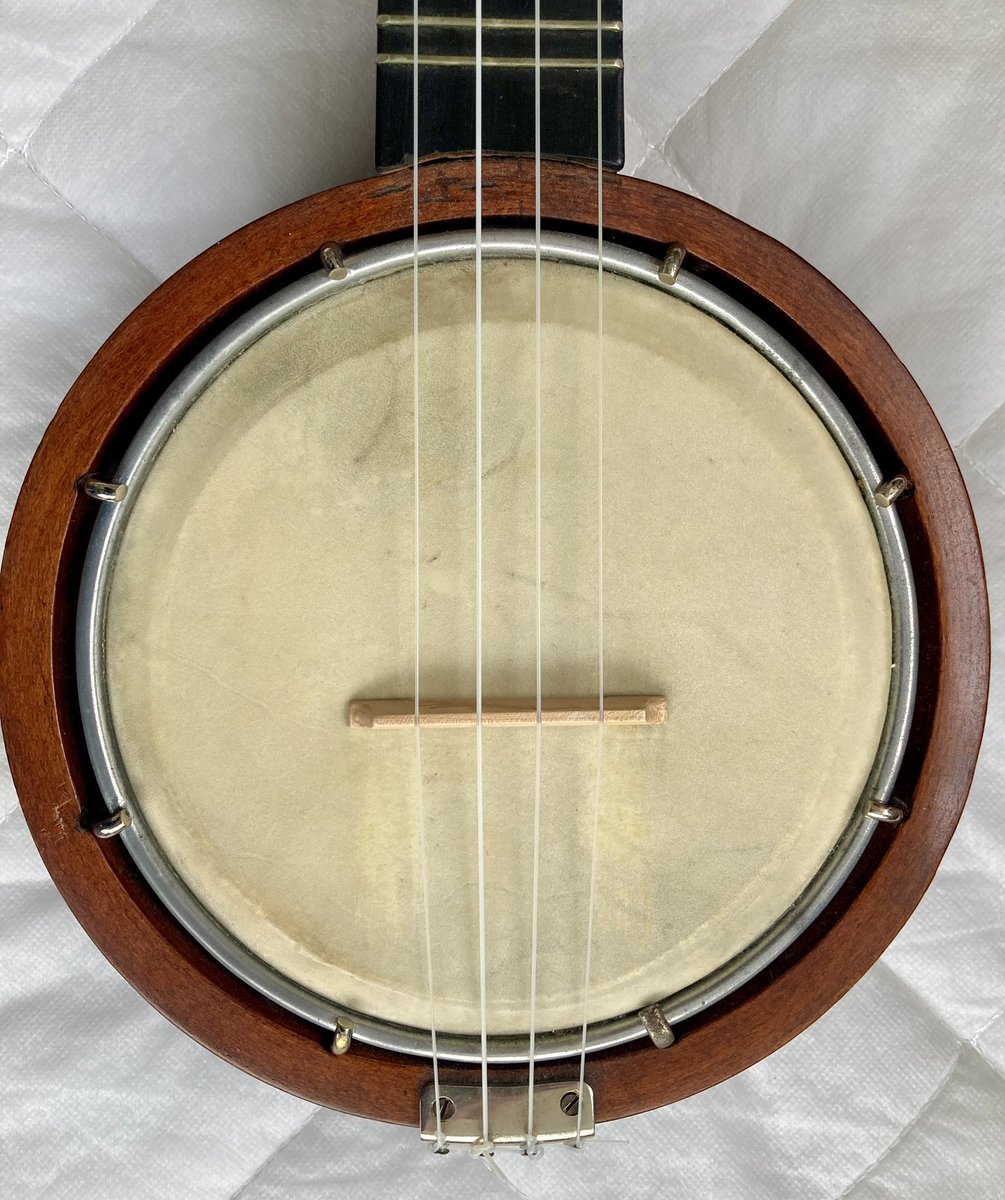 ColinYoung_1's tweet photo. #Keech vintage #banjulele (1924) #Peghed tuners https://t.co/32Ru3LEI4Z #Gumtree https://t.co/FblJWnlaNm
