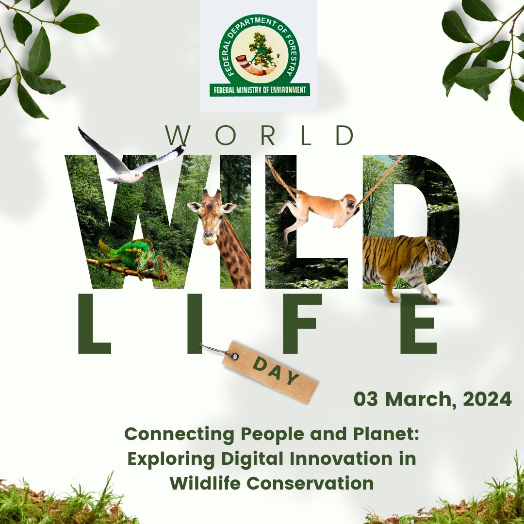 Digital innovation is playing a crucial role in wildlife conservation efforts around the world to provide a brighter future for our planet's wildlife. #WorldWildlifeDay #conservation #WWD2024 #DigitalInnovation #ConnectingPeopleAndPlanet #TechForWildlife