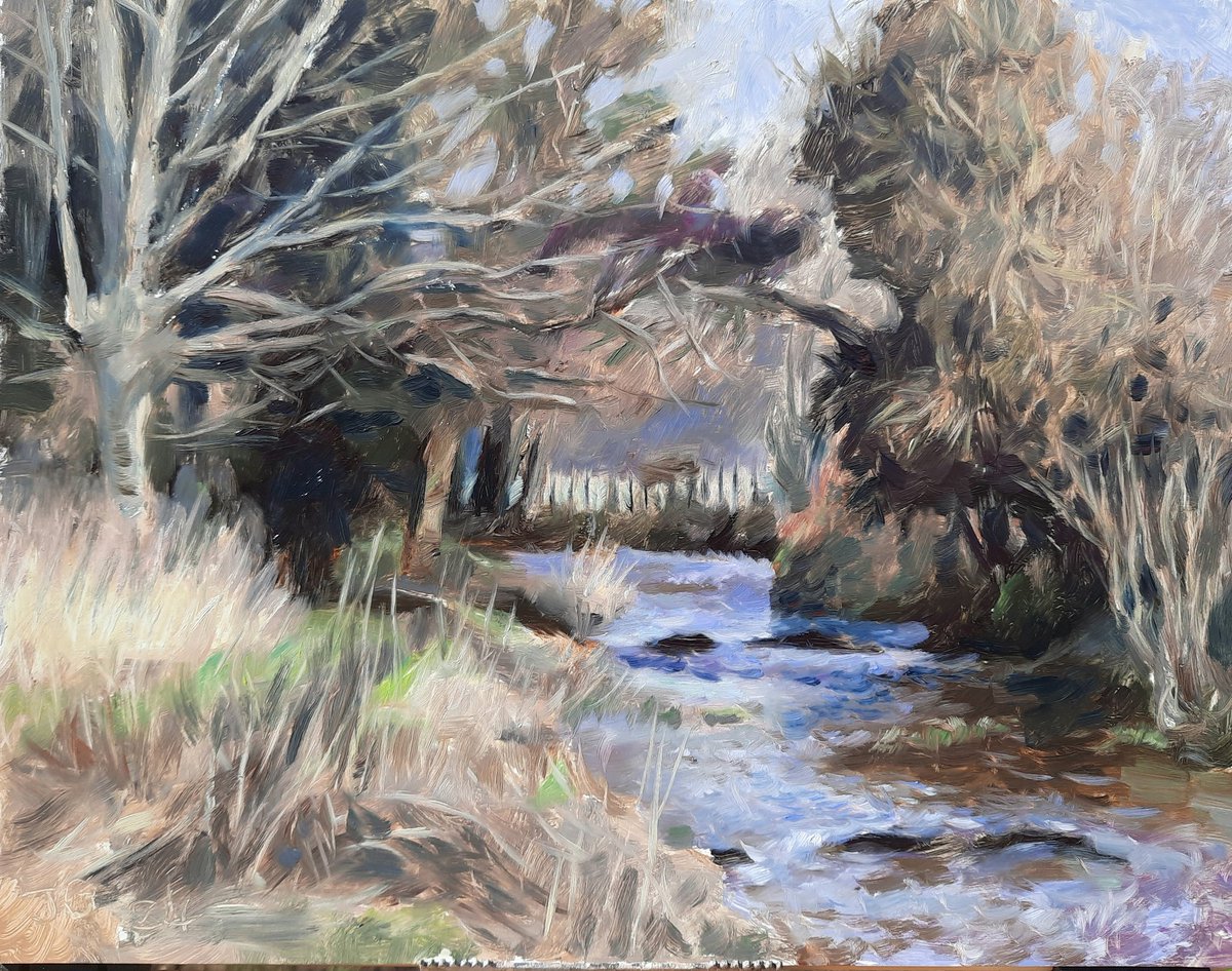 A beautiful morning in Hughenden Park. I was painting the stream on very boggy ground, my wellies were caked in mud. Oil on primed panel,  28 x 36 cm.
#hughenden #hughendenpark #chalkstream #landscapeoilpainting #landscapepainting #oilpainting #oilpaintingonpanel #pleinairpainter