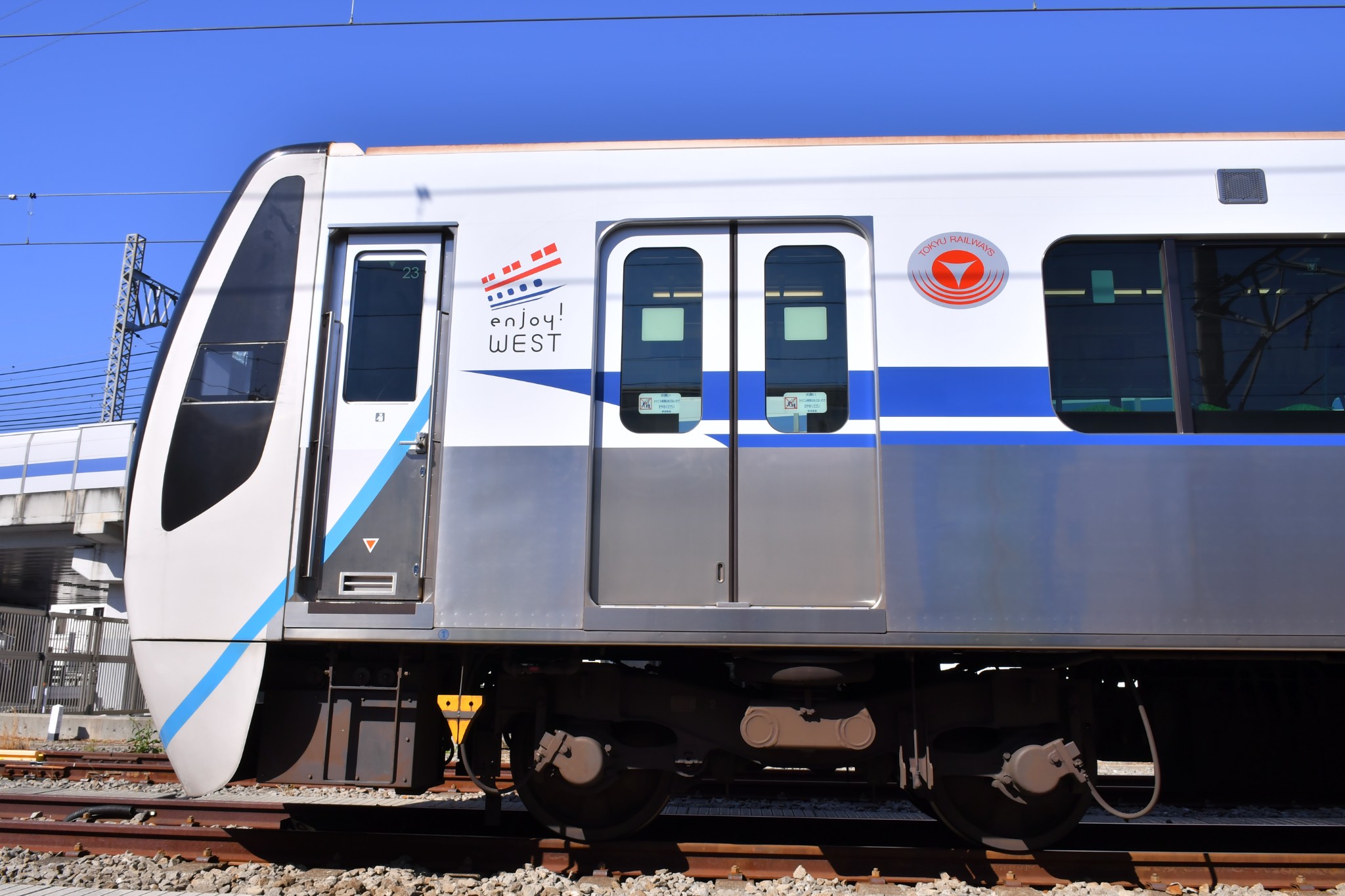 東急電鉄3020のるるんゴルフボール - ラウンド用品・アクセサリー 東急電鉄3020のるるんゴルフボール - ラウンド用品・アクセサリー