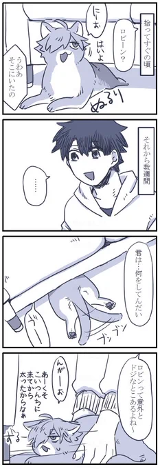 ネコチャン漫画 