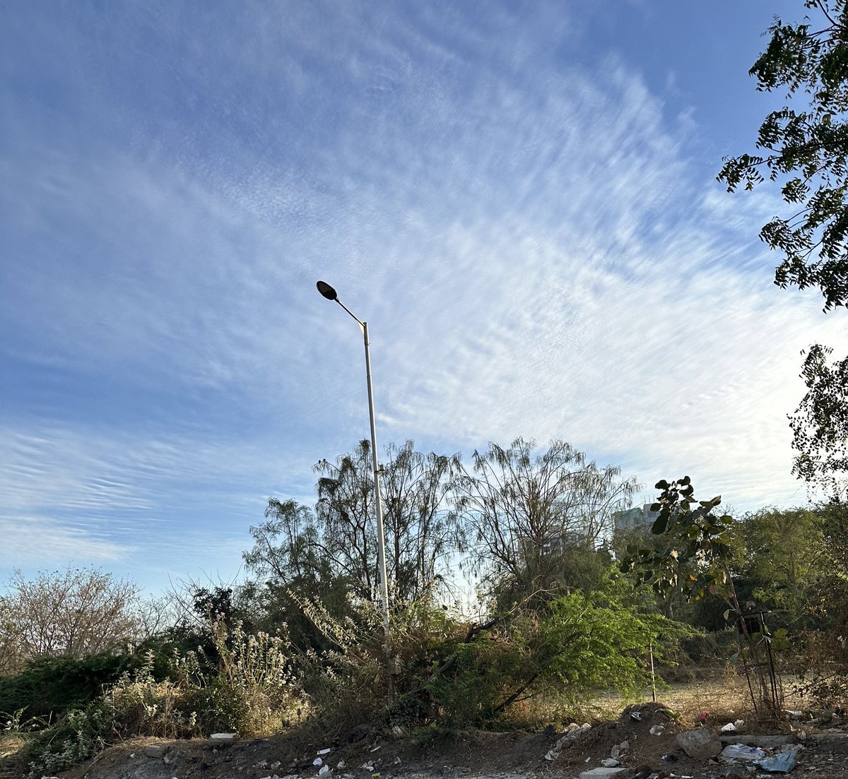 Manasi Joshi tweet media