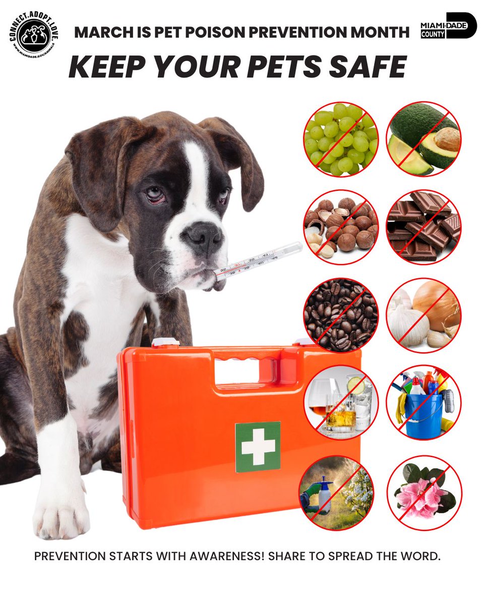 🐾 💚 March is Poison Prevention Awareness Month! Keep your pets safe.

Prevention starts with awareness! Share to spread the word. 🌟 🏡

#PetSafety #PoisonPrevention #MiamiPets