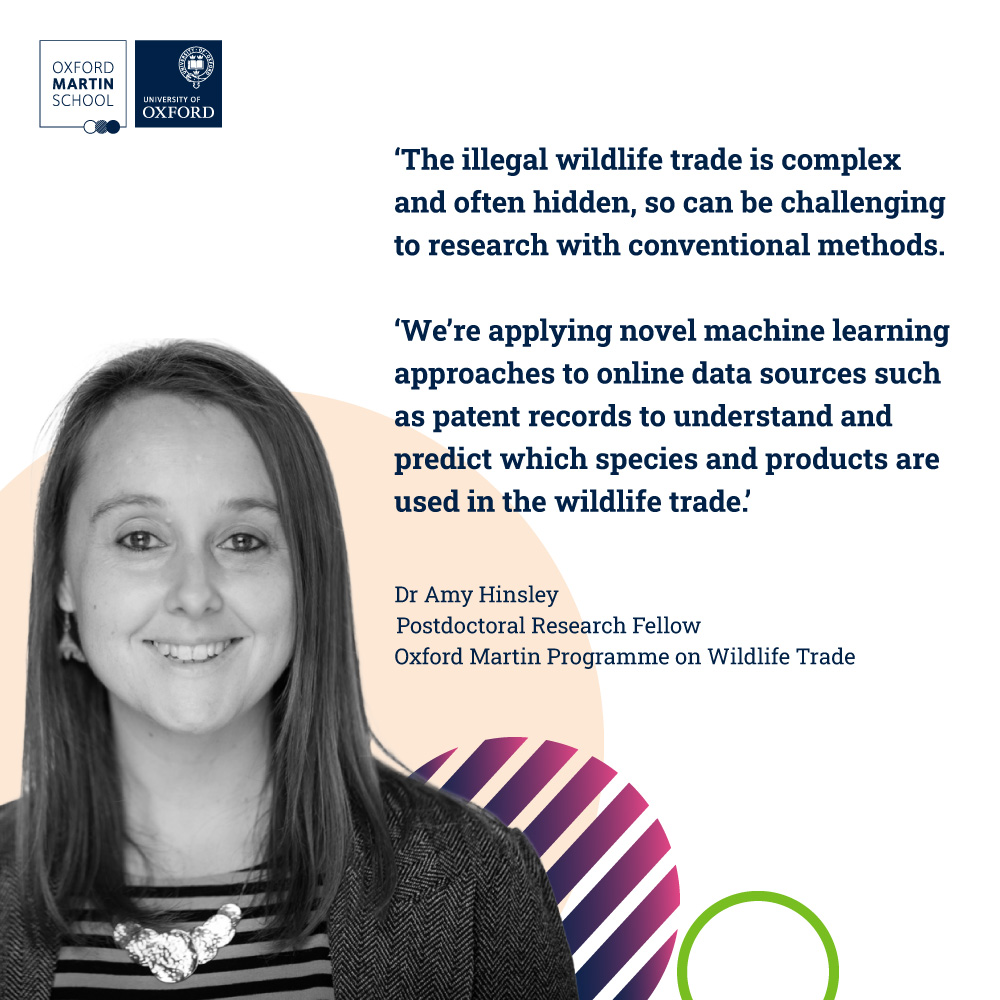🦁🌍 With World Wildlife Day focusing on digital innovation in conservation efforts, find out how Amy Hinsley of our Wildlife Trade programme uses machine learning in her research. #WWD2024 #ConnectingPeopleAndPlanet