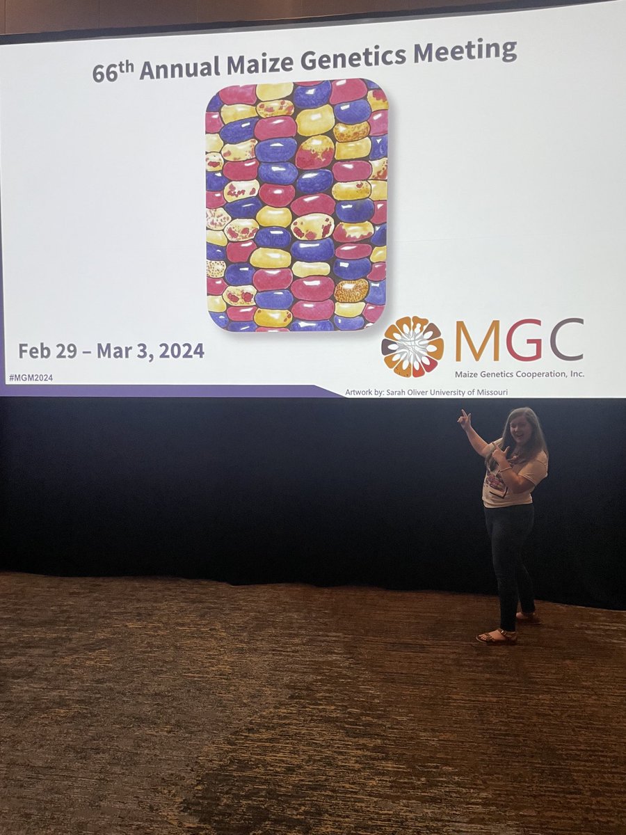 Last day of the conference and it’s still weird to see my painting everywhere. Thank you, maize genetics community, for the love and support of my art 🥹🥰
