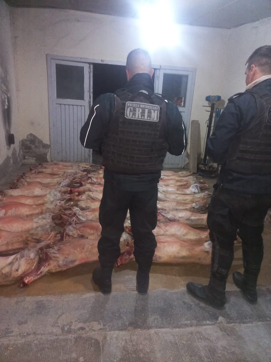 El grupo de policía motorizada GRIM de Bethesda identificó a 2 tripulantes de un vehículo que llevaba 32 capones faenados para una carnicería de Trelew. Se decomisó la carga no apta para consumo.