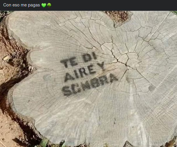 colapsistas's tweet photo. #vistoenredes https://t.co/Ff5CXDxi67
