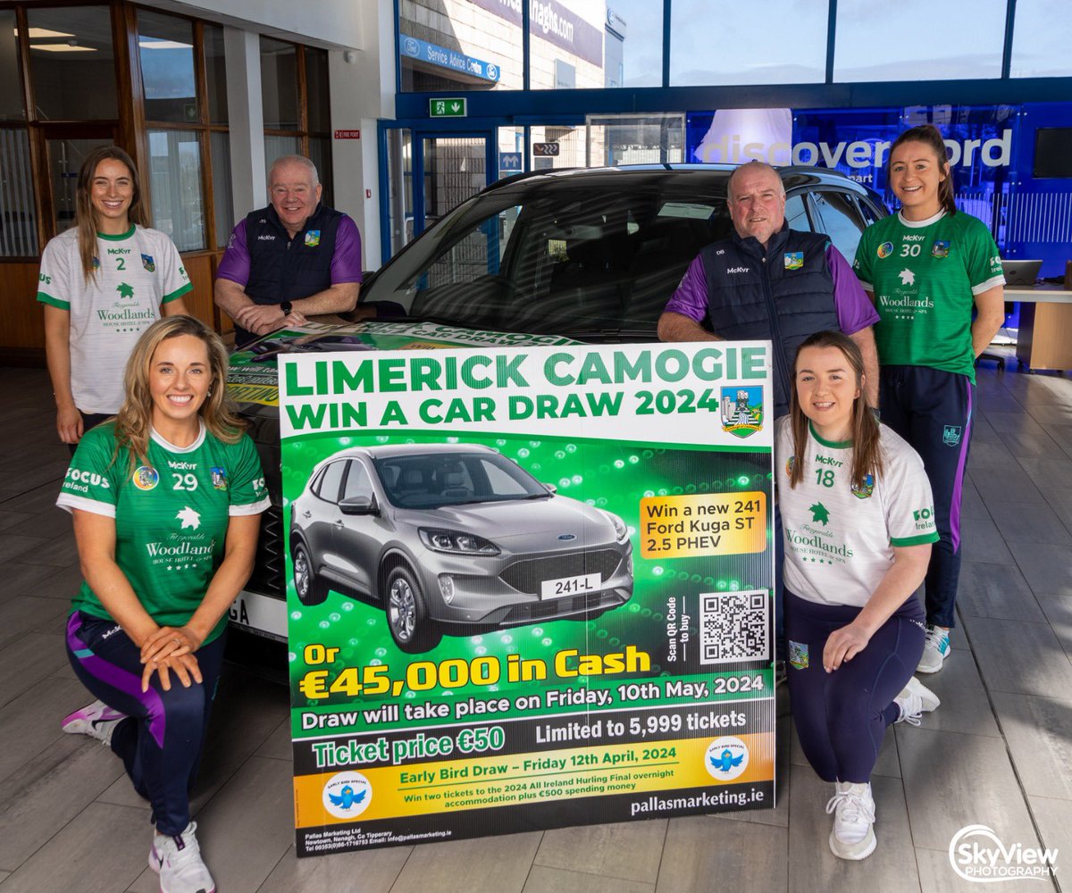 Limerick Camogie tweet media