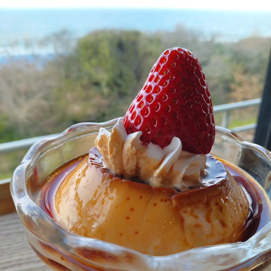 ToshinobuM's tweet photo. 本日のデザートは、
和田珍味本店『VIEW&amp;CAFE Shinwa』へ��

いちごフェアをされているということで、
端から端まで！…(笑)、いっときました~☆
🍓パンケーキ
🍓サンデー
🍓プリン
🍓サイダー

地元産の紅ほっぺの酸味と、
苺ソースやアイスの甘味��バランスよく、余裕でペロリ！
#和田珍味 #景色最高 https://t.co/unzzGApqfK