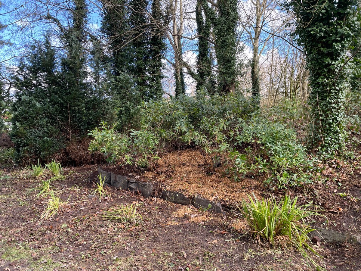 Thank you to Steve, Jordan, Penny, Ian, Tina, Sue, Tim,Colin, Marie-Anne and Martha, Becky, Val and James. Wonderful turn-out and lots done. #FestivalGardens @lpool_LSSL #litterpick