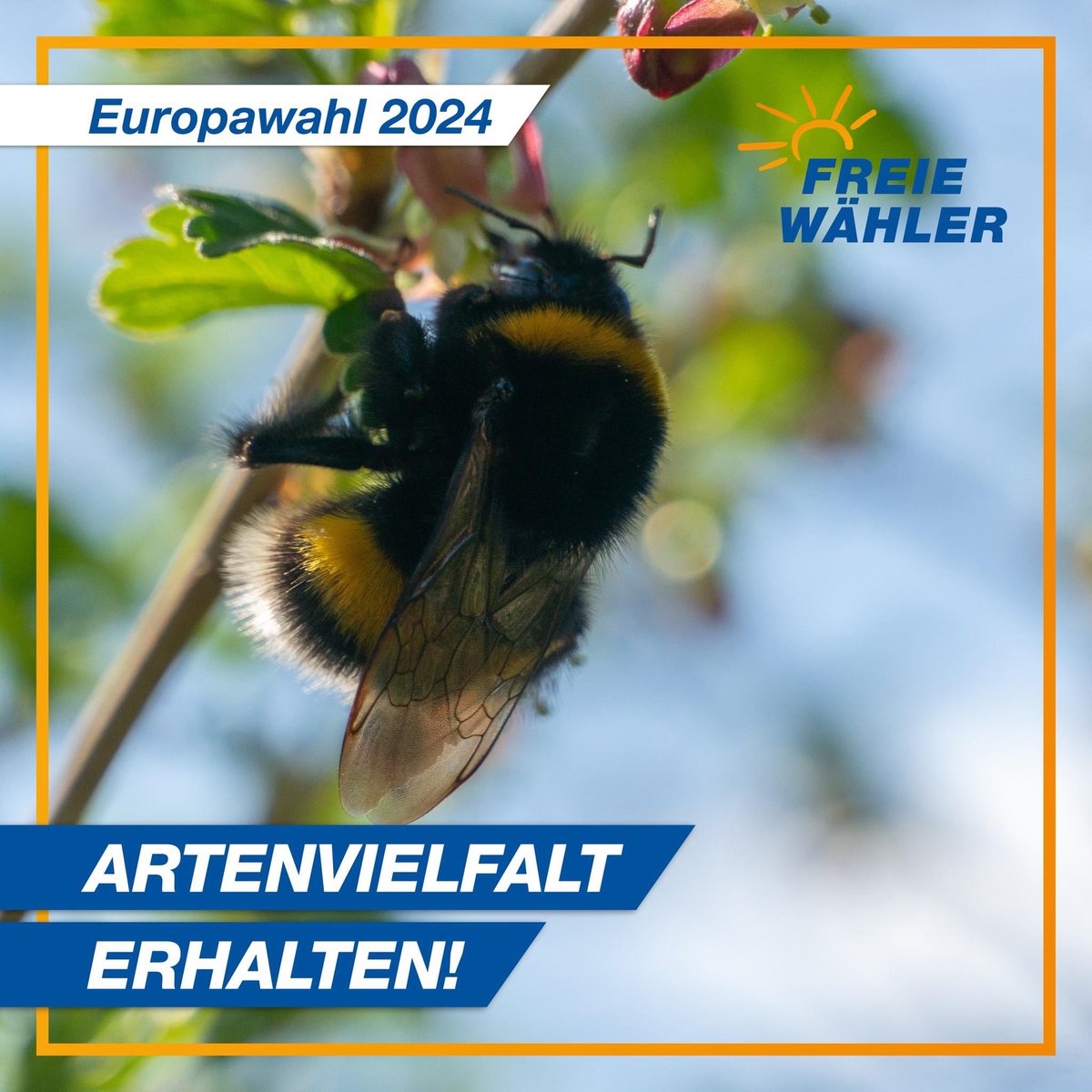 Umwelt und Natur für nachfolgende Generationen bewahren! 🐞🌸

Deutschland ist einer der am intensivsten genutzten Lebensräume der Welt, weshalb dem Landschaftsschutz eine hohe Priorität zugemessen werden muss. 

Damit wir die Bedürfnisse von Mensch und Umwelt nicht gegeneinander
