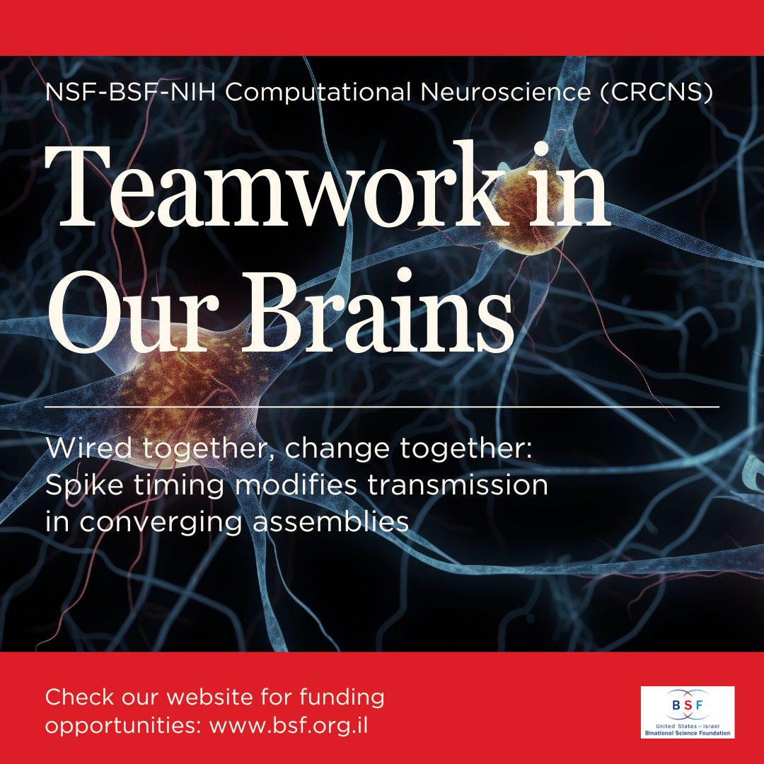 BSF-grantee Dr. Eran Stark <a href="/lab_stark/">StarkLab</a> uncovers how our brains thrive when neuron groups synchronize "spike timing" as a team, challenging old assumptions and shedding new light on neuronal connectivity and brain plasticity. <a href="/TelAvivUni/">Tel Aviv University</a>  🔗science.org/doi/10.1126/sc…
