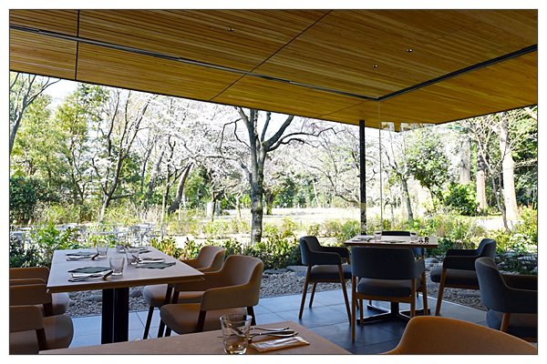 東京都庭園美術館のレストラン「comodo」。
桜🌸の季節は、もうすぐですね。