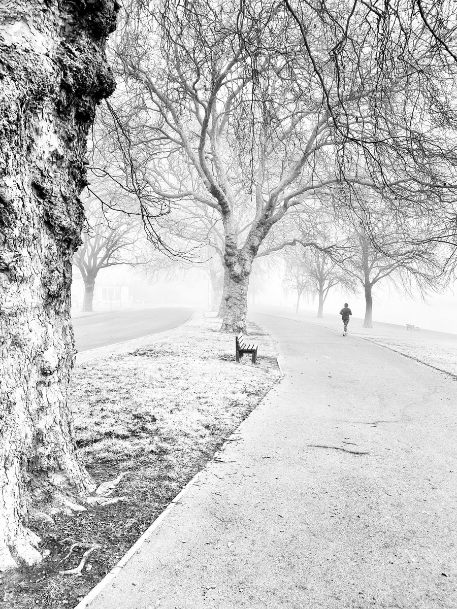 Misty Morning Run

#ShotoniPhone #Monochrome #mistymorning #StreetPhotography #trees #running #Nottingham