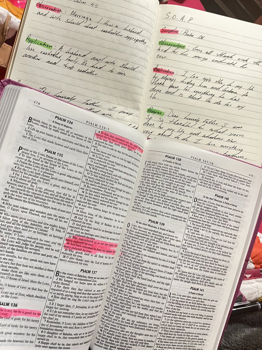 _amourlani's tweet photo. the soap method is the easiest way for me to understand the bible better! https://t.co/zZP4n5accm