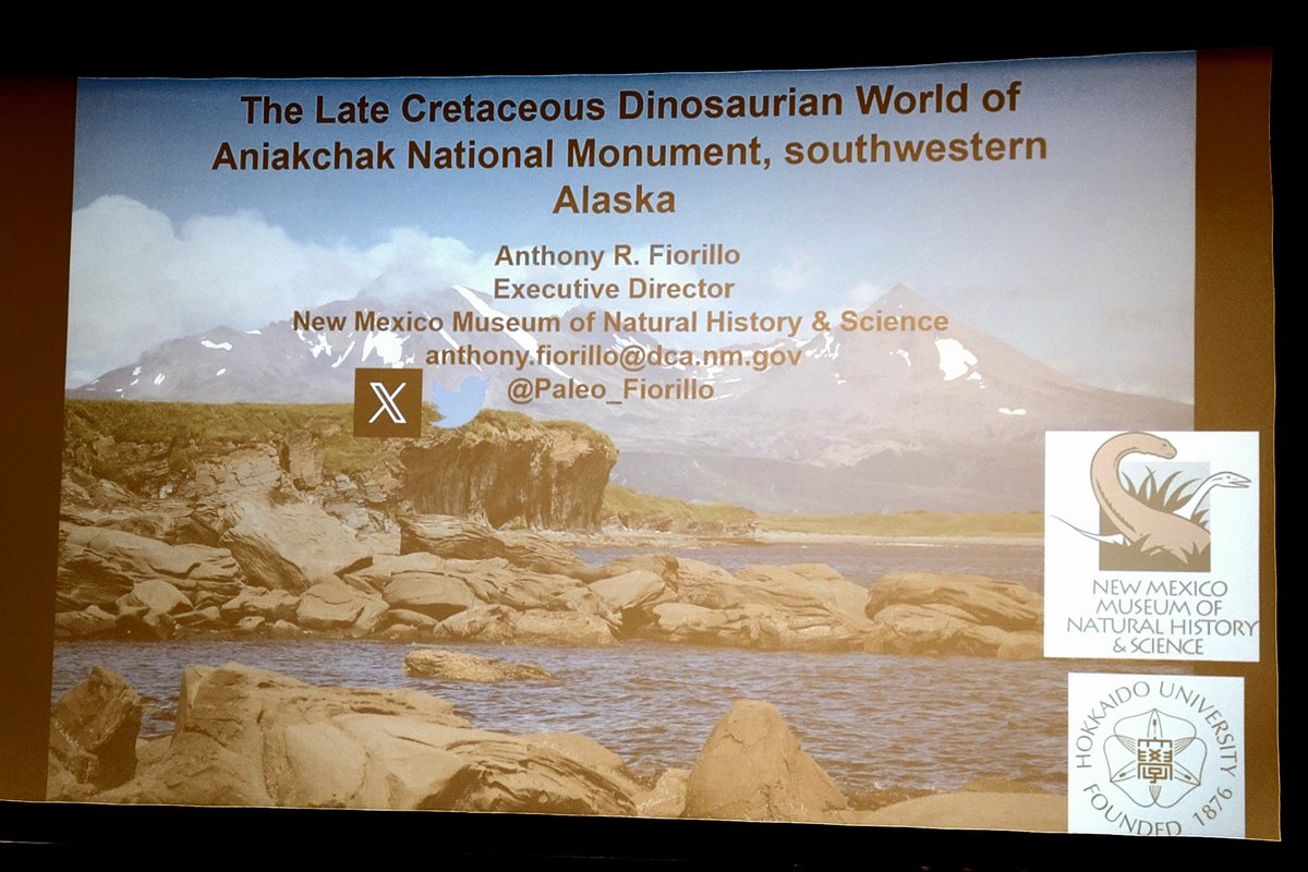 ToddRockford's tweet photo. Dr. Anthony Fiorillo, New Mexico Museum of Natural History &amp; Science
“The Dinosaurian World of Aniakchak National Monument, southwestern Alaska: a fossil resource of global importance”
#PaleoFest #BurpeeMuseum #PaleoFest2024 https://t.co/3ZytKG1YUT