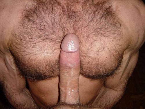 Hairy cock on a hairy chest
#hairymen #hairychest #hairycock