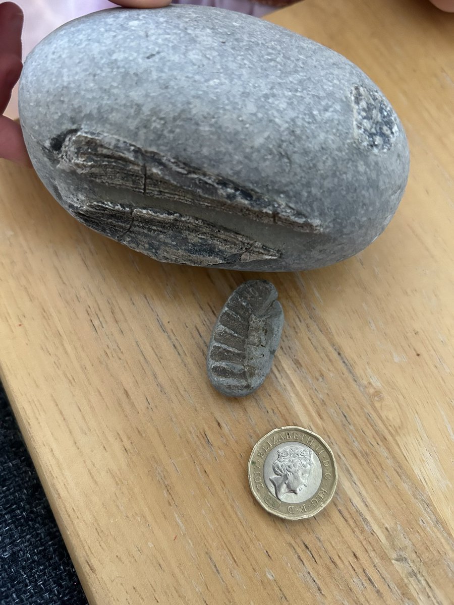 Kathryn Jones (She/Her) tweet media