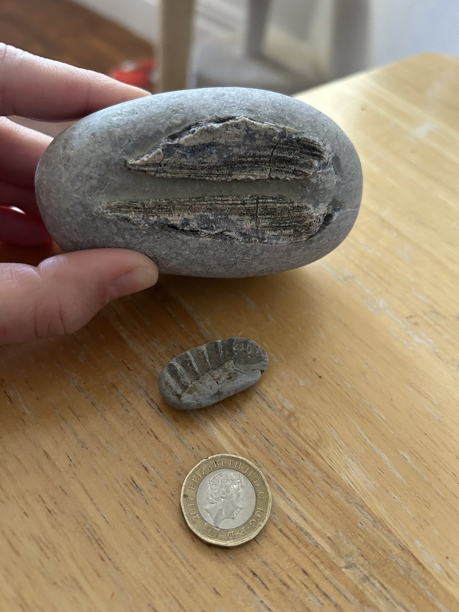 Kathryn Jones (She/Her) tweet media