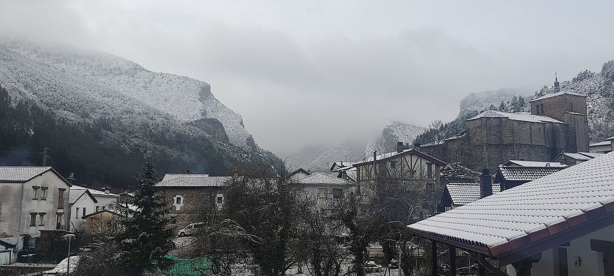 AznarezLus tweet picture