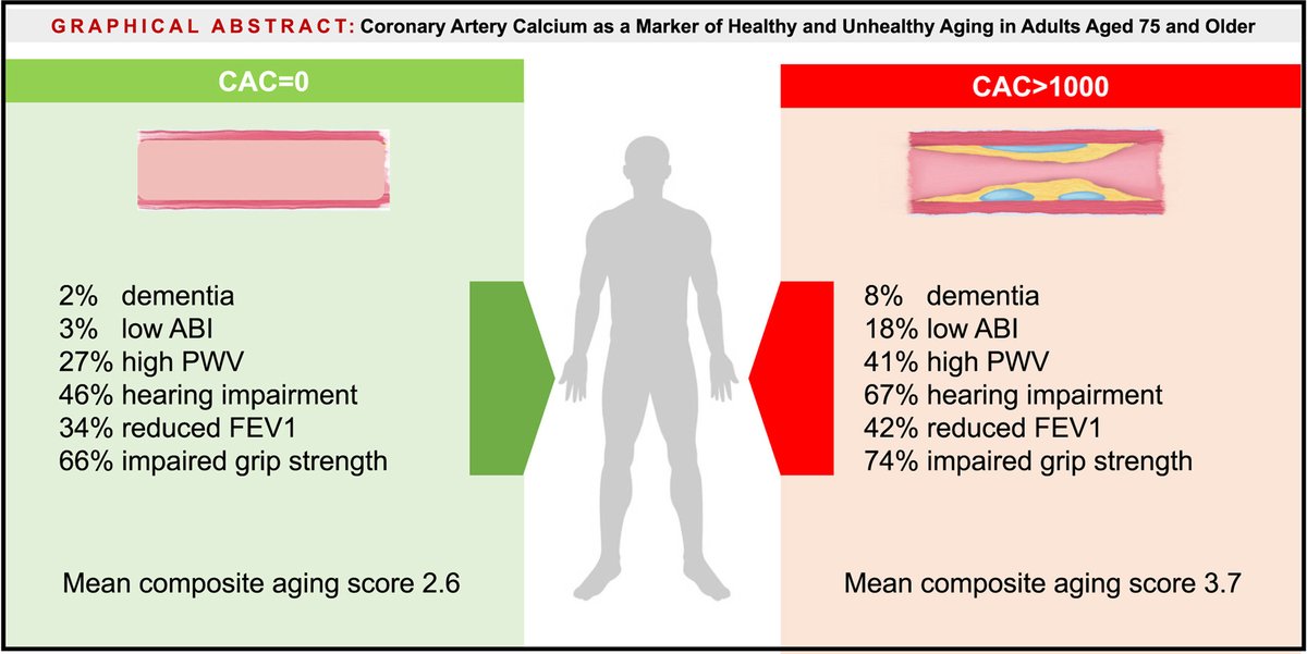 The 🔎 by @MichaelJBlaha et al highlights #CAC as a simple measure associated w/ biological aging, w/ clinical and research implications for estimating the physical and physiological aging trajectory of older individuals 🔗atherosclerosis-journal.com/article/S0021-… @Ellen_A_Boakye @khurramn1