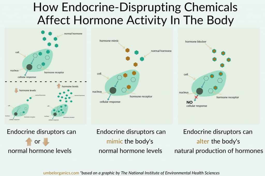 Limiting exposure to endocrine disrupting chemicals by choosing organic foods & chemical-free self-care products, cosmetics, cookware, cleaning products, etc., can lessen the toxic load, lower the risk for obesity & positively effect #metabolism. #WomensHealth #HormonalImbalance