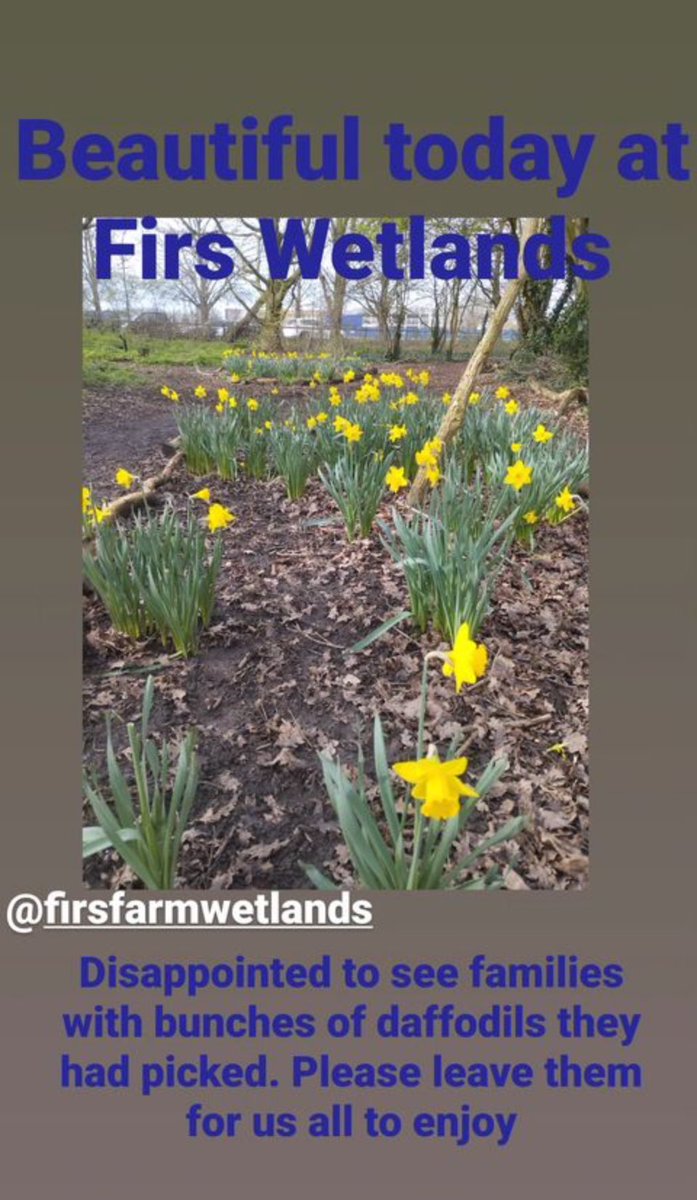 Firsfarmwetlands (@firsfarm) on Twitter photo 