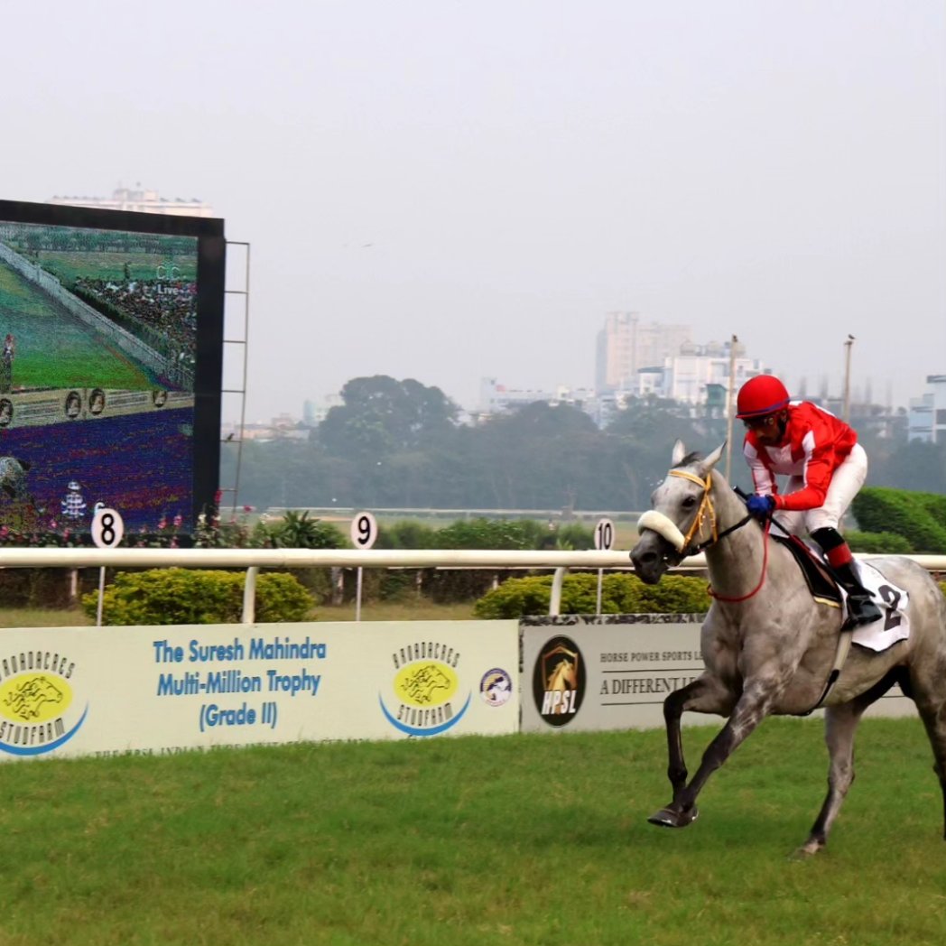 RctcTurf's tweet photo. JULIETTE - the phenomenon...

Privileged to have witnessed this living legend win her third consecutive Indian Turf Invitation Cup...

Congratulations to the proud connections...

#rctc #invitationcup #juliette #champions #turfauthorities #carnivalracing #indianracing #kolkata https://t.co/HC3338gbLM