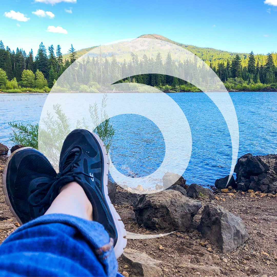 New Earth Co tweet media