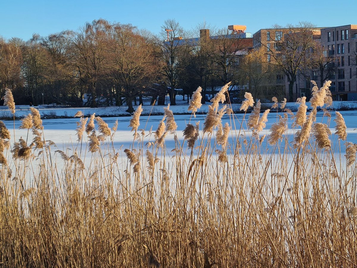 StephieBrix's tweet image. Ich experimentiere gerade mit KItools um Bildbeschreibungen zu erstellen.
Bin jetzt auf einen Chatbot gestoßen , der echt gut arbeitet.
Wie findet ihr diese #Bildbeschreibung zum Beispiel?
(Gern Rückmeldung und rt)