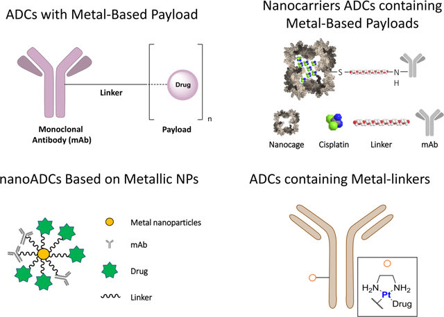 Antibody-drug conjugates by cisplatin, interesting mechanism of action 👀👀

Shows a Better response in cancer and sparing nearby cells