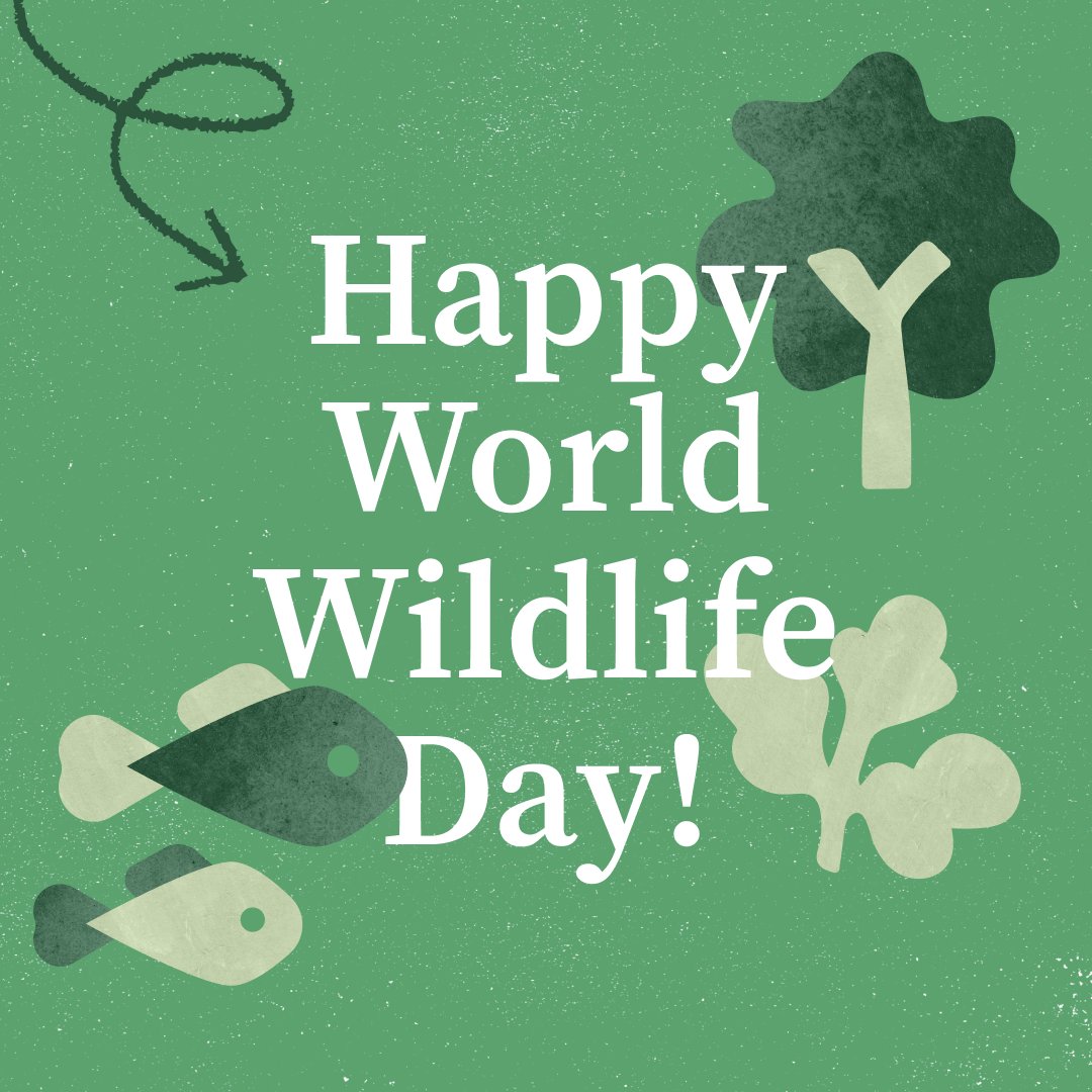 khanacademy's tweet image. 🌍 Celebrate #WorldWildlifeDay with Khan Academy's Biology courses: brnw.ch/21wHwEM 

Discover cell biology, genetics, natural selection. 🌱 Join us in understanding and conserving our planet's biodiversity. Thanks to @AmgenFoundation for their support!