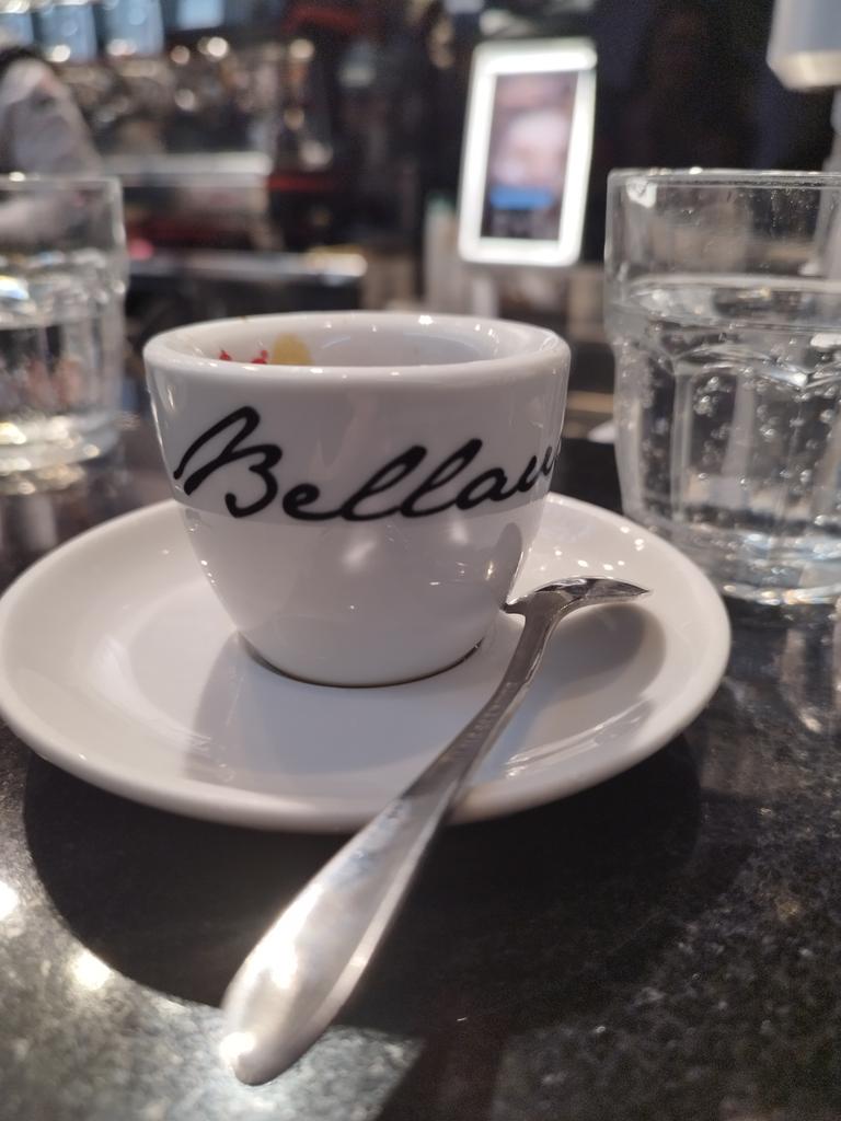 Gmgm☕
Lo sé, lo sé!
I'm so linda and I'm in vacation!
Here I have a hot coffee for you! 
Enjoy your day ☀️