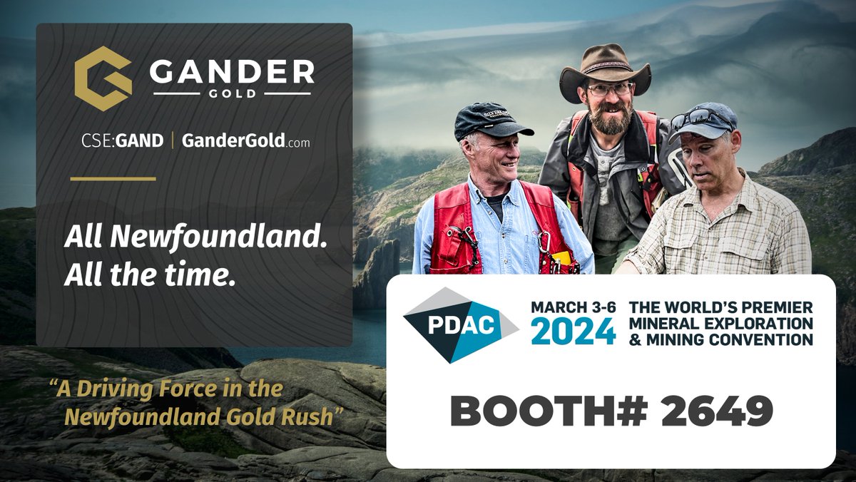 Gander Gold Corp. tweet media