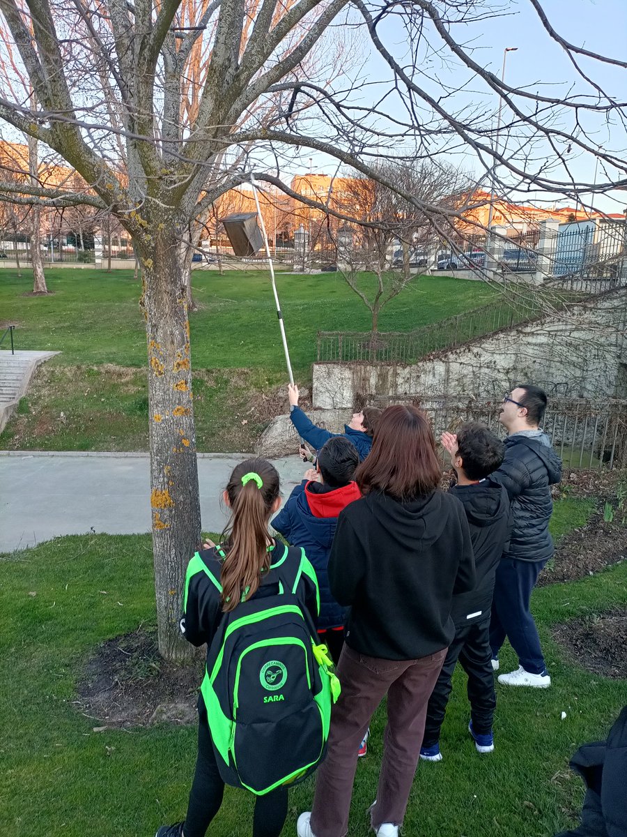 Nos hemos acercado al prado de la vega para limpiar y restaurar las cajas nido que tenemos puestas en los árboles.
Muy contentos porque han anidado en varias de ellas.🪺🪺🪺
Ayuntamiento de Carbajosa de la Sagrada 
Cibercarba