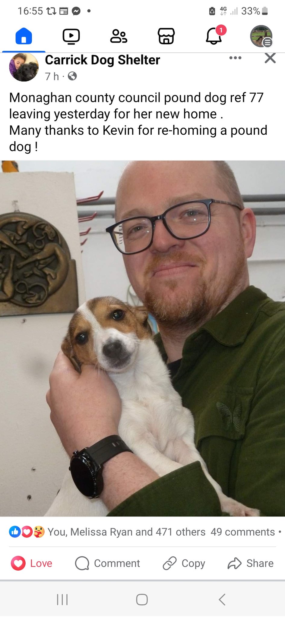 Carrick dog cheap shelter