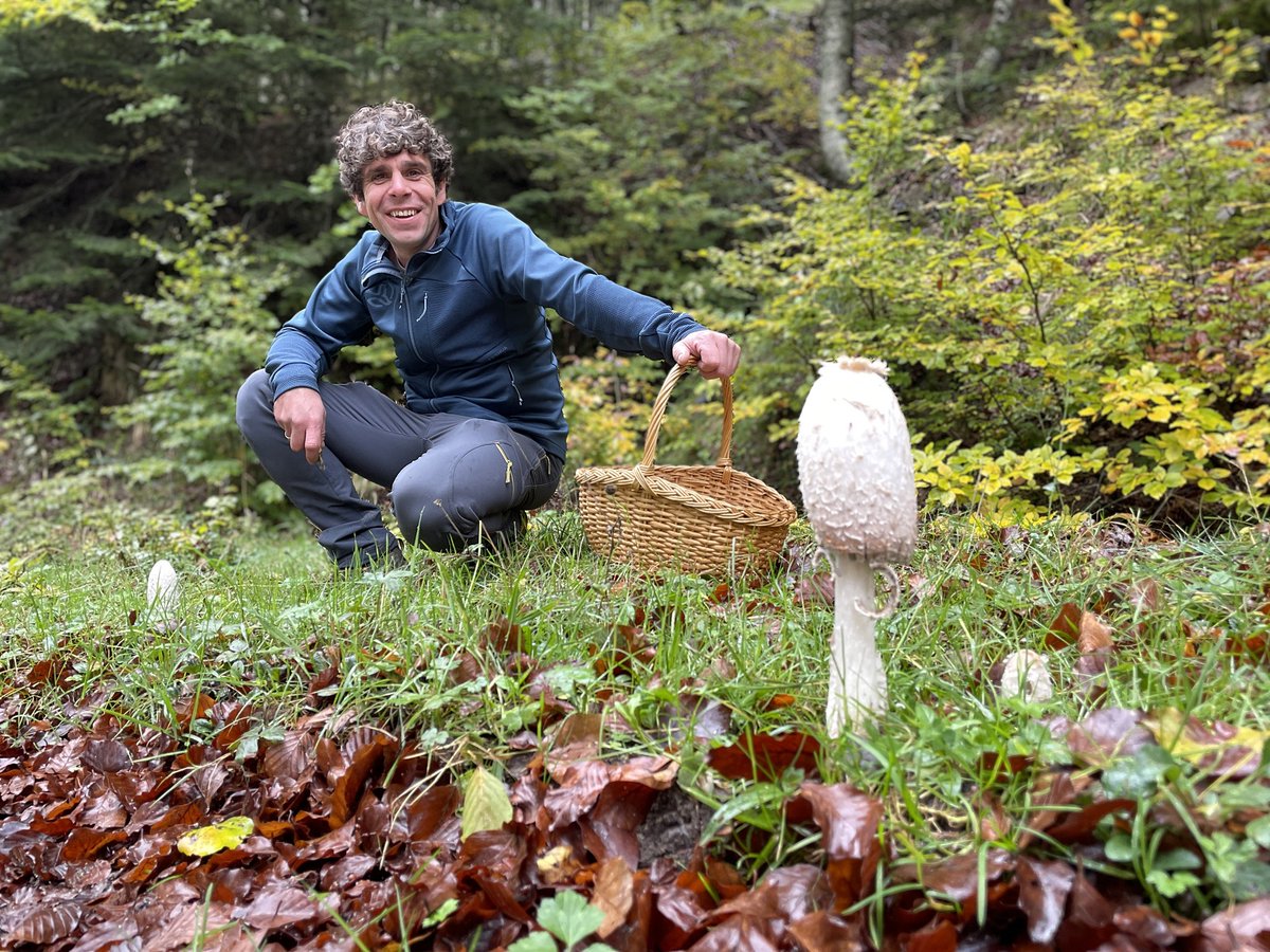 🍳 Nos adentramos en Navarra, La Rioja, León, Álava, Soria, Teruel y Madrid gracias a <a href="/CanalCocina/">Canal Cocina</a> para descubrir ‘La cocina mágica de las setas’ 🍄 

👉 A partir de mañana, a las 23:00h disponible en #OrangeTV