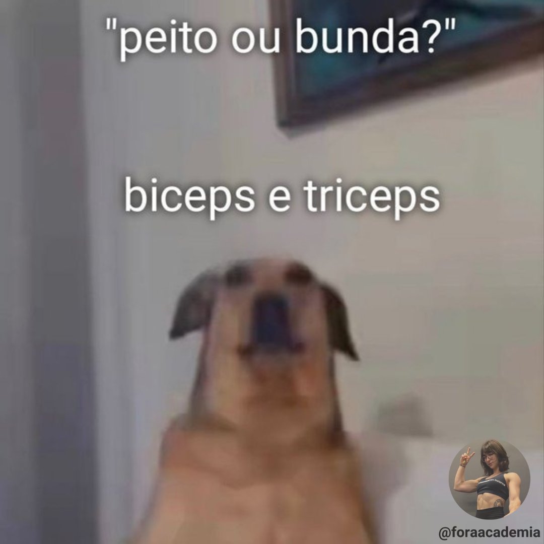 academia fora de contexto (@foraacademia) on Twitter photo 