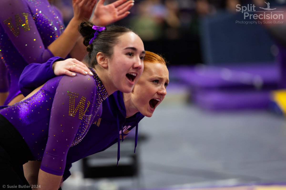 SplitPrecision Photography (@splitprecision) on Twitter photo Get ready to cheer on <a href="/UWGymnastics/">Washington Gymnastics</a> and <a href="/ArizonaGymCats/">Arizona Gymnastics</a> today in the same way that the #GymDawgs cheer each other on!
#GoHuskies #GoDawgs #UW #Washington #collegegym #gymnastics #gymnast #gymnasticsphoto #gymphoto #NCAA #NCAAGym #sports #sportsphoto #sportsphotography #Pac12 Get ready to cheer on <a href="/UWGymnastics/">Washington Gymnastics</a> and <a href="/ArizonaGymCats/">Arizona Gymnastics</a> today in the same way that the #GymDawgs cheer each other on!
#GoHuskies #GoDawgs #UW #Washington #collegegym #gymnastics #gymnast #gymnasticsphoto #gymphoto #NCAA #NCAAGym #sports #sportsphoto #sportsphotography #Pac12