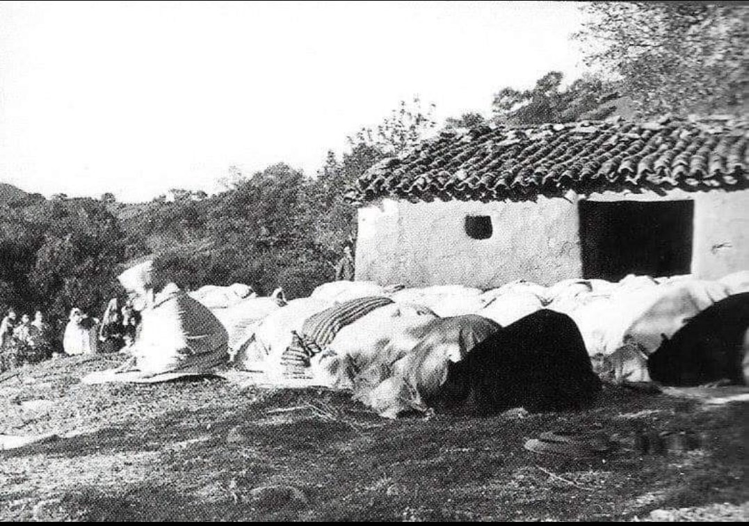 Ideologically, the Kabyles were all of one party, which is to say conservative. This unanimous conservatism in respect of the social structure and the political system was paralleled by an equal unanimity in respect of religious belief.