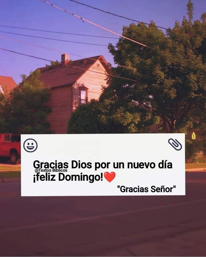 Excelente domingo 😊🍀👌