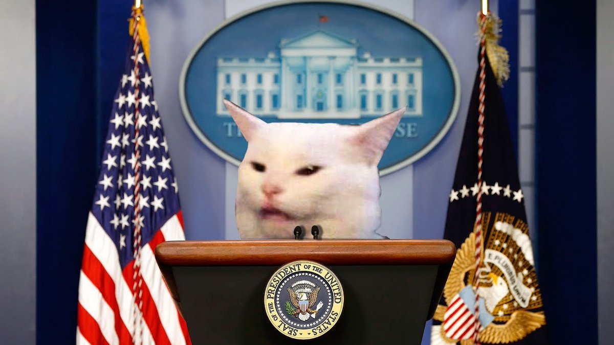 I KNOW WHO YOU ARE #DEANPHILLIPS #DEANPHILLIPSFORPRESIDENT #USACAT #PRESSCONFERENCE