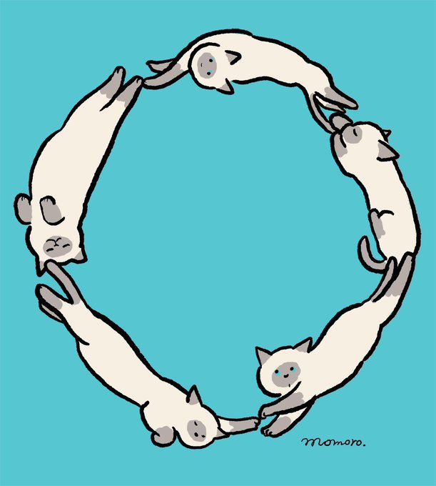 「smile white cat」 illustration images(Latest)