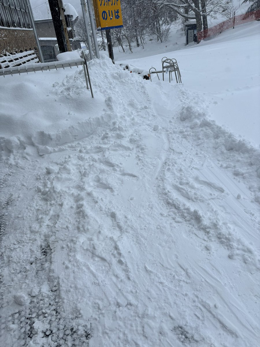 タッキーの田舎道楽@山形 tweet media