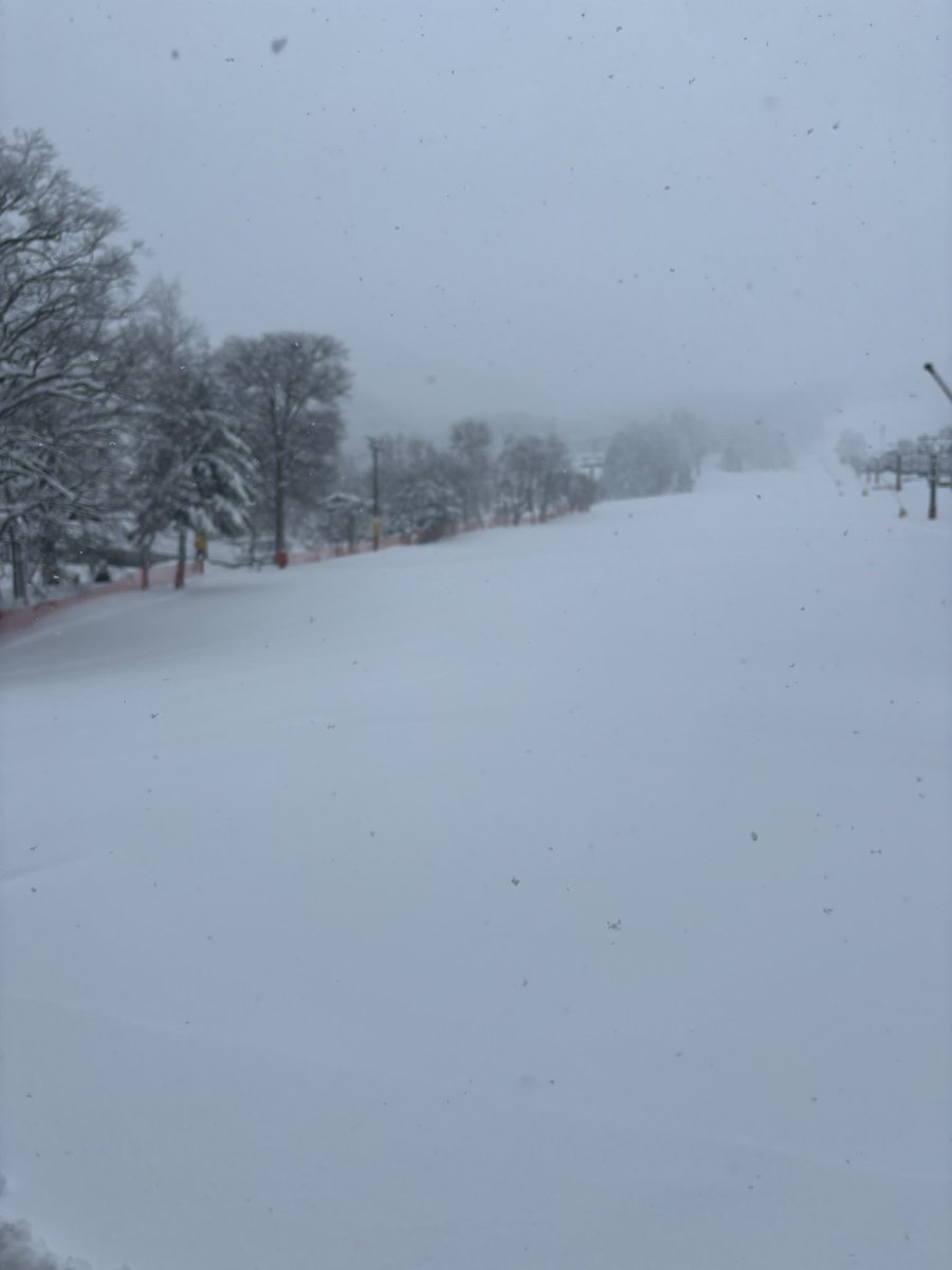 タッキーの田舎道楽@山形 tweet media