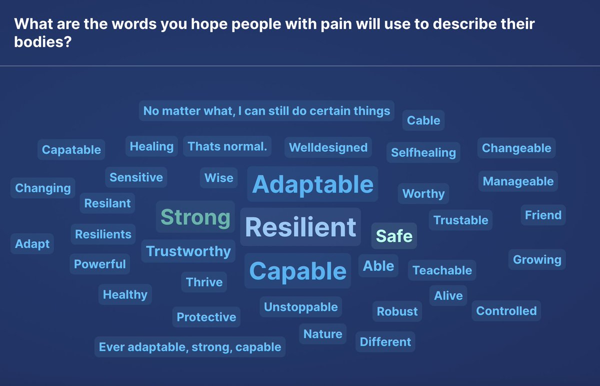 A big thanks to all the @SanDiegoSummit-ters for such positive feedback on our work. I added some audience participation at the end and just peeked at the responses - 'how do you hope people with pain would view their #bodies'? Such great stuff here, thanks for your insights! 💡