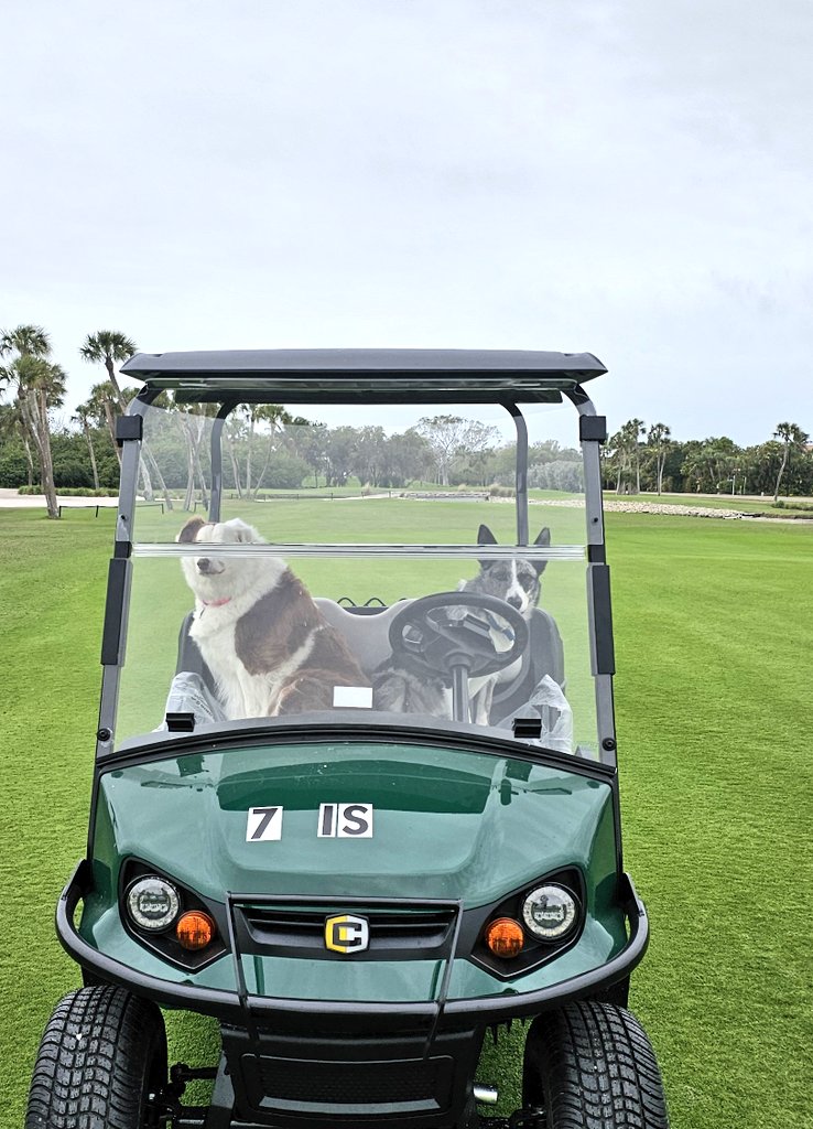 john reilly tweet media