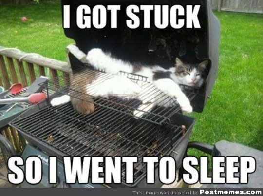 Lunarteddy tweet media