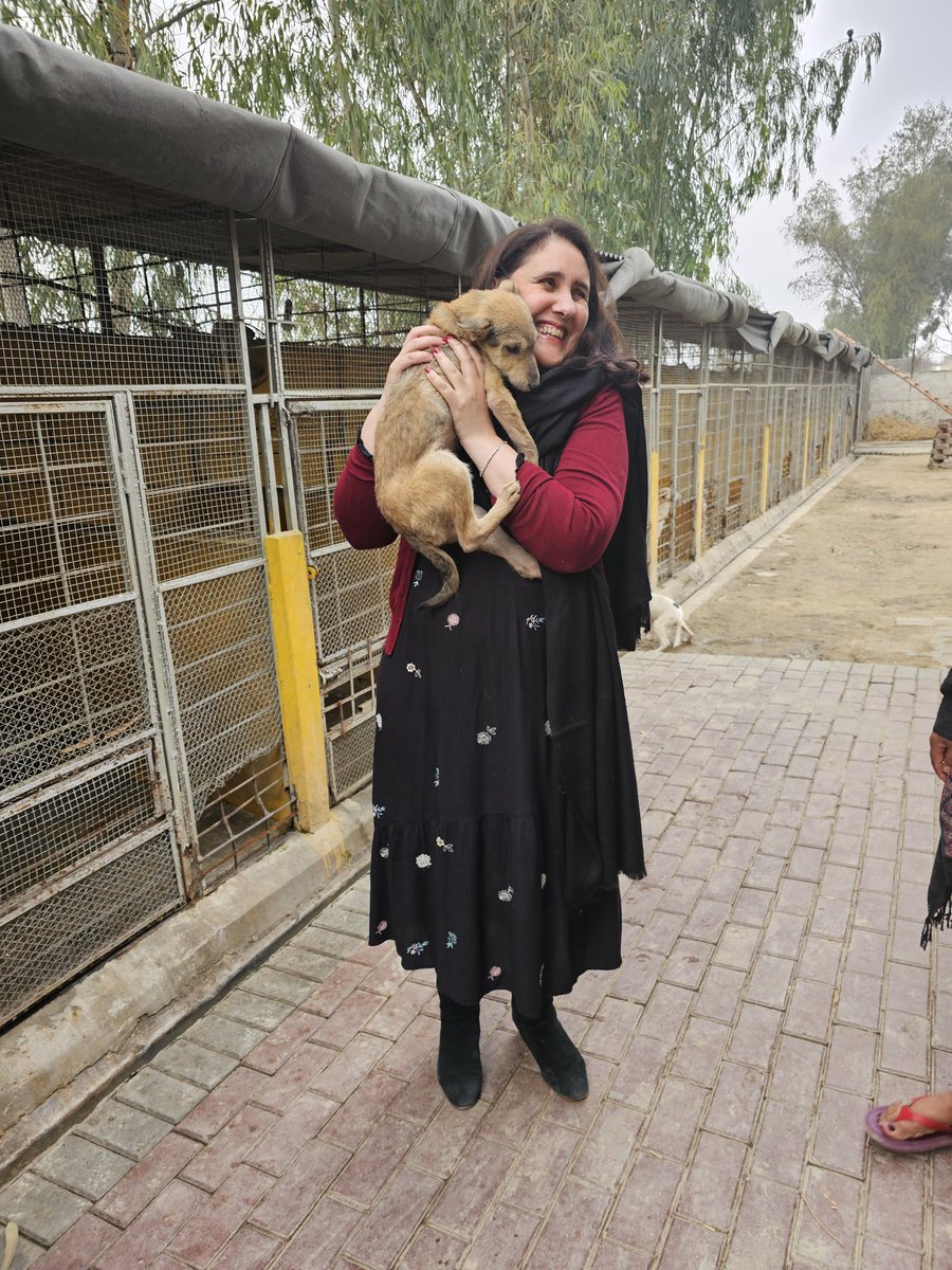 Feeling homesick as missing Pakistan, the shelter and all our rescues. Part of me just wishes that I could move back permanently. So here I am in happier times at the shelter with gorgeous Teddy, who brings so much joy ❤️ #LahoreAnimalSanctuary #Rescue